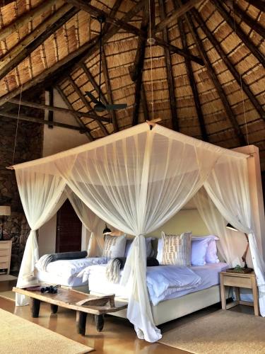 Nambiti Plains Private Game Lodge in Ladysmith Nambiti Plains Private Game Lodge in Ladysmith