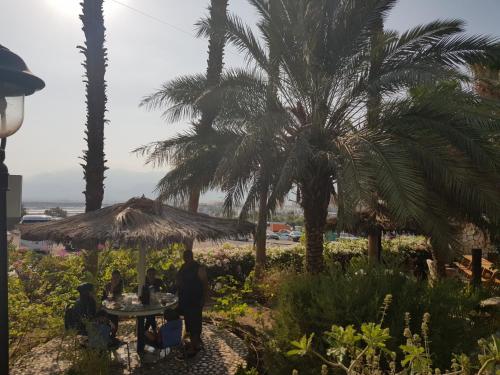 Garden, Arava Hostel in Eilat Garden, Arava Hostel in Eilat