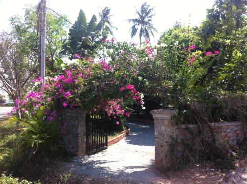 Rega Annex Guesthouse & Restaurant