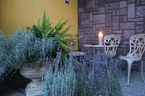 This photo about Lavanda shared on HyHotel.com