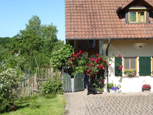 Entrance, Ferienwohnung Waldblick in Kleinsteinhausen Entrance, Ferienwohnung Waldblick in Kleinsteinhausen