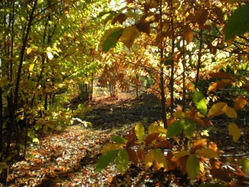 This photo about Puerto Roque Turismo Rural shared on HyHotel.com