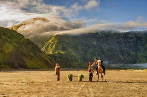 Sedulur Homestay in Bromo Sedulur Homestay in Bromo