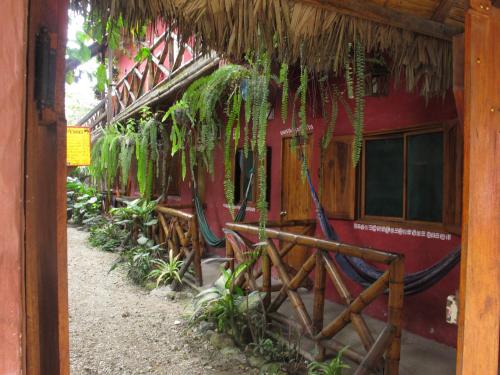 Hostal Mamacucha in Montañita Hostal Mamacucha in Montañita