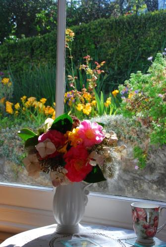 This photo about Cobden Garden shared on HyHotel.com