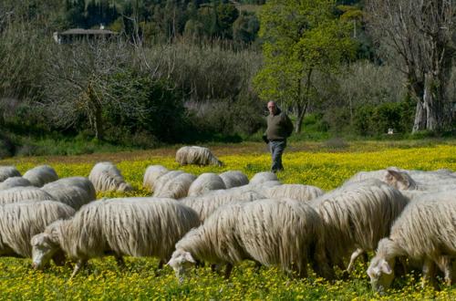 This photo about Hotel Sport Village shared on HyHotel.com