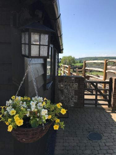 Intrare, The Cow Hide in Arundel Intrare, The Cow Hide in Arundel