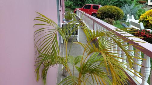 Удобства, Top Ranking Hill View Guesthouse in Списайд Удобства, Top Ranking Hill View Guesthouse in Списайд