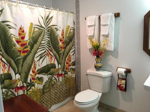 在meiguo.com看到的Bay House Bed and Breakfast的介绍图片