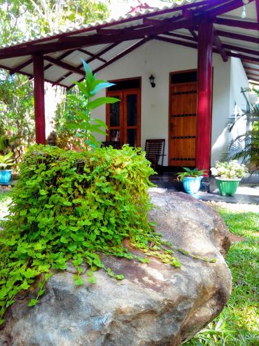 Bright Sun Safari Hotel