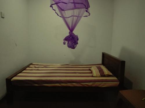 This photo about Mango shade shared on HyHotel.com