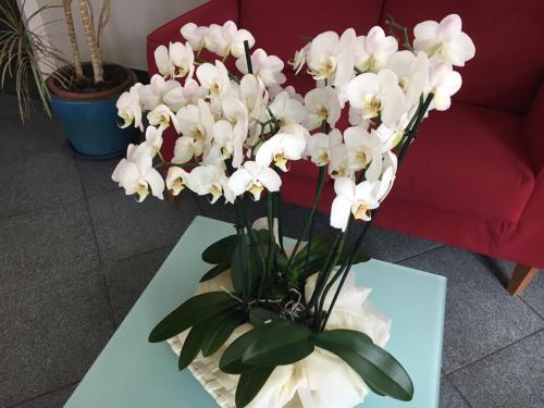 This photo about Hotel Internazionale shared on HyHotel.com