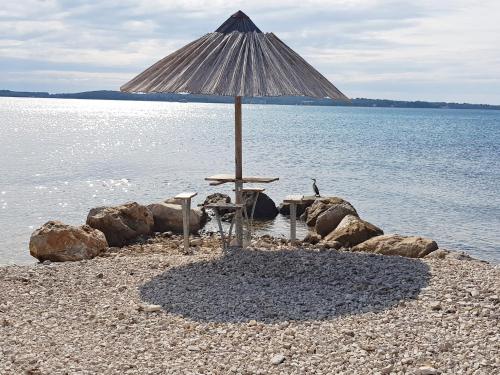 Strand, Mobile Homes Camp Pineta - Adriatic Kampovi in Fažana Strand, Mobile Homes Camp Pineta - Adriatic Kampovi in Fažana