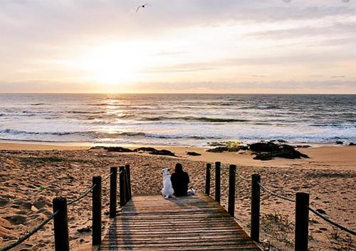 Nearby attraction, Parque de Campismo Orbitur Angeiras in Matosinhos Nearby attraction, Parque de Campismo Orbitur Angeiras in Matosinhos