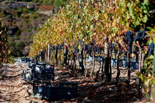 This photo about Quinta do Medronheiro Hotel Rural shared on HyHotel.com