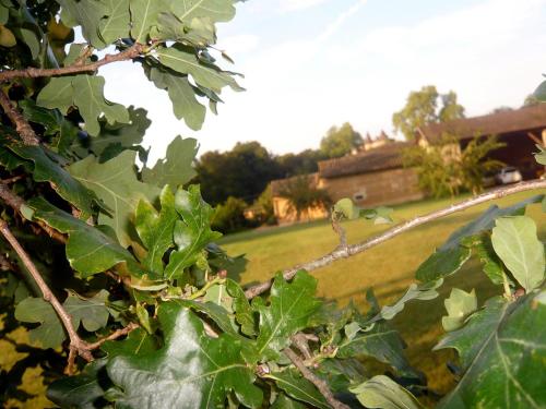 Bed & Breakfast - Maison de Marie in Messimy-sur-Saone Bed & Breakfast - Maison de Marie in Messimy-sur-Saone