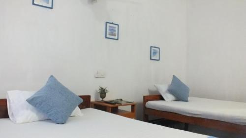 D Villa Guest Hopuse