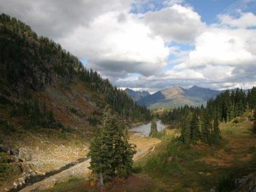 在meiguo.com看到的Apartment 94SLL Budget Condo near Mt. Baker的介绍图片