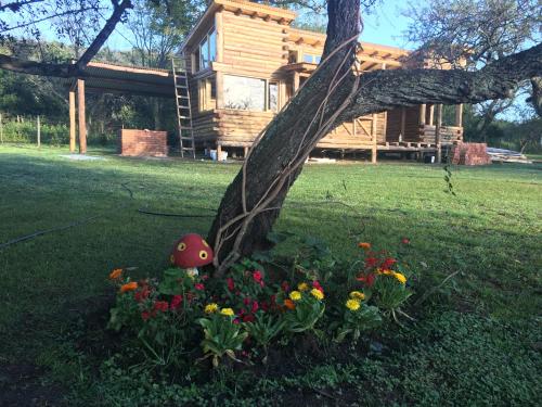 Garden, Enkel Cabanas in José de la Quintana Garden, Enkel Cabanas in José de la Quintana