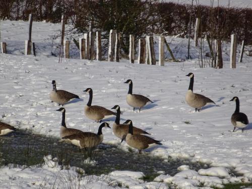 B&B Einrade in Vaals B&B Einrade in Vaals