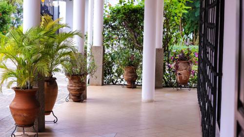 المنظر الخارجي, Lavender Lodge Hotel in ديزورلو المنظر الخارجي, Lavender Lodge Hotel in ديزورلو