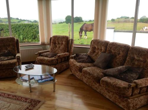 The Rock Equestrian Farm B&B in Cavan The Rock Equestrian Farm B&B in Cavan