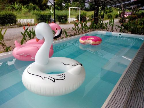 Swimming pool, Fancy Carp Resort in Cha-am Swimming pool, Fancy Carp Resort in Cha-am