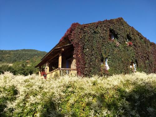 Hostal D'Eller in Alp Hostal D'Eller in Alp