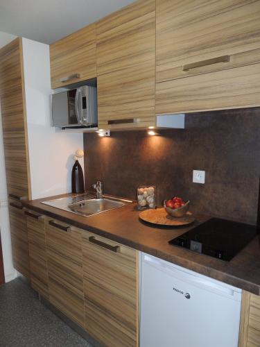 Konyha, Residence Les Baladines in Thonon-les-Bains Konyha, Residence Les Baladines in Thonon-les-Bains