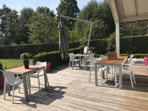 Erkély/terasz, Rosa Arvensis in Lottum Erkély/terasz, Rosa Arvensis in Lottum