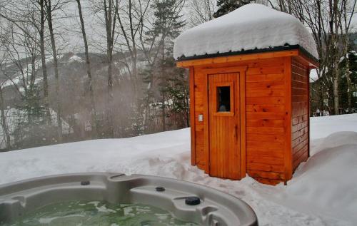 cadă fierbinte, Chalets Alpins - 22 Chemin des Skieurs in Stoneham (QC) cadă fierbinte, Chalets Alpins - 22 Chemin des Skieurs in Stoneham (QC)