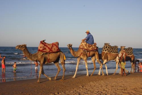 Oriental Dary Al Waha Marina Saidia in 사이디아 Oriental Dary Al Waha Marina Saidia in 사이디아