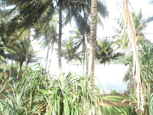Gold ocean house in Tangalle Gold ocean house in Tangalle