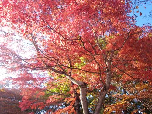 This photo about Karuizawa Stone Pension&Cottage shared on HyHotel.com