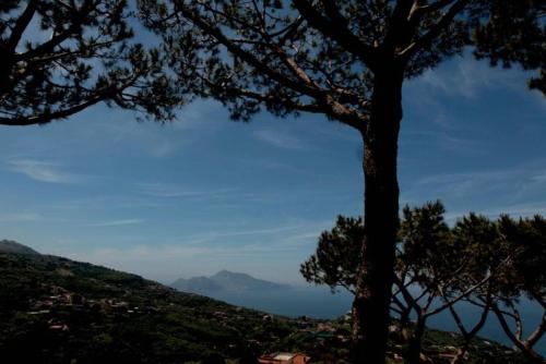 This photo about Villa Ivory in Massa Lubrense shared on HyHotel.com