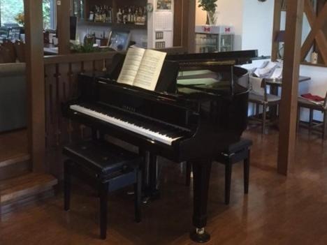 This photo about Guesthouse Kreutzer shared on HyHotel.com