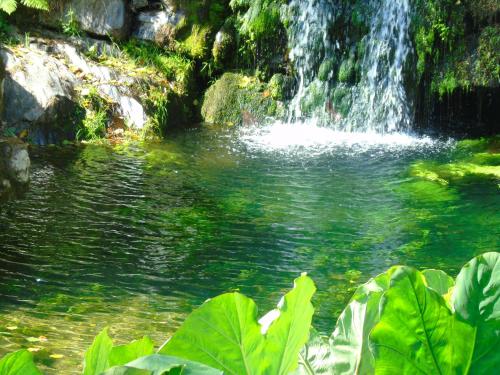 plaža, Quinta da Chouza Agroturismo e Enoturismo in Celorico De Basto plaža, Quinta da Chouza Agroturismo e Enoturismo in Celorico De Basto