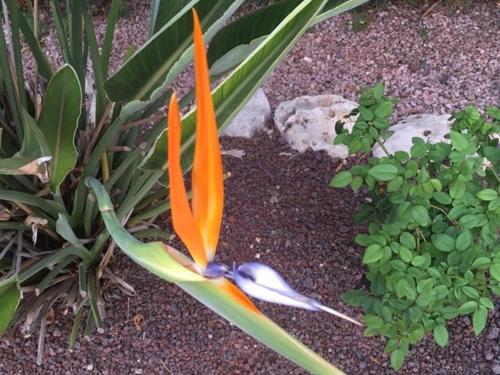 This photo about Just Relaxed Holidays in Spain shared on HyHotel.com