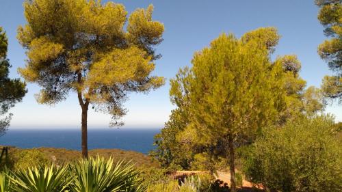 This photo about Auberge Ferayola shared on HyHotel.com