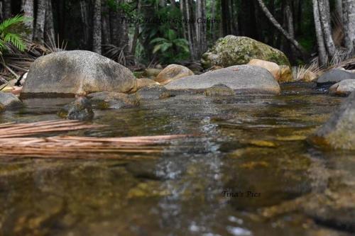 This photo about Finch Hatton Gorge Cabins shared on HyHotel.com