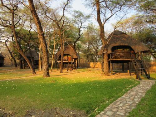 The Tree Lodge at Sikumi in Hwange The Tree Lodge at Sikumi in Hwange