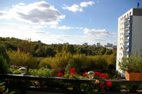 Balcony/terrace, 2-Zimmer-Ferienwohnung "Garten der Welt" in Hellersdorf Balcony/terrace, 2-Zimmer-Ferienwohnung "Garten der Welt" in Hellersdorf