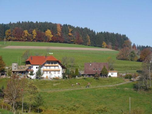 A környék, Dischhof in Biederbach A környék, Dischhof in Biederbach