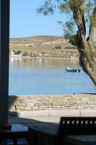 Surrounding environment, Hotel Paros in Paros Island Surrounding environment, Hotel Paros in Paros Island