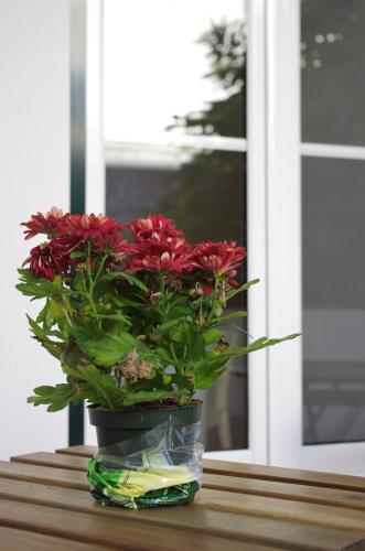 This photo about Cheesecake Boutique House shared on HyHotel.com