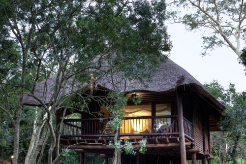 Zululand Tree Lodge