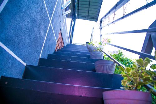 Balkon/teras, Chanuka Family Resort in Anuradhapura Balkon/teras, Chanuka Family Resort in Anuradhapura