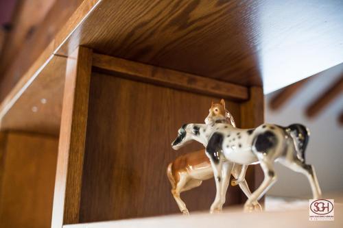 This photo about San Giacomo Horses & Agriturismo shared on HyHotel.com