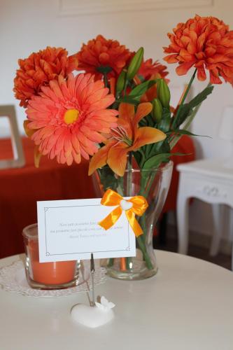 B&B Bouquet di fiori in Penne B&B Bouquet di fiori in Penne