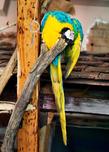 This photo about Beliy Kakadu shared on HyHotel.com